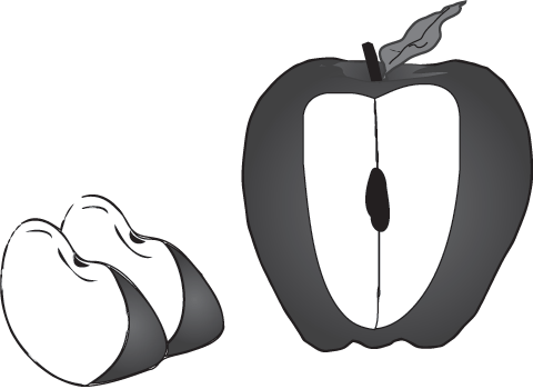 An apple